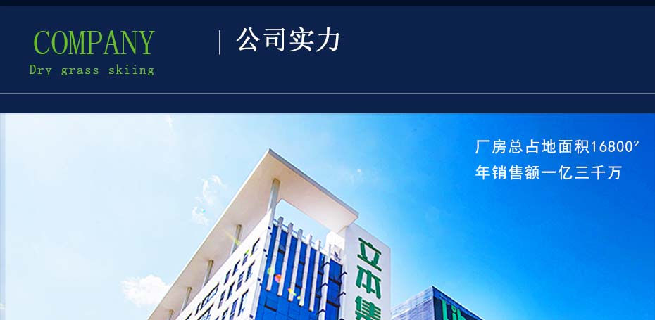 立本集團公司實力